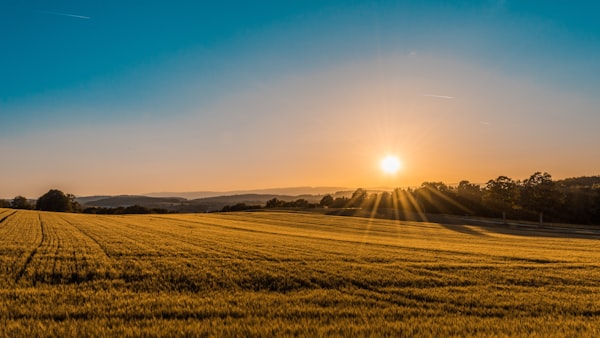 Farm Land